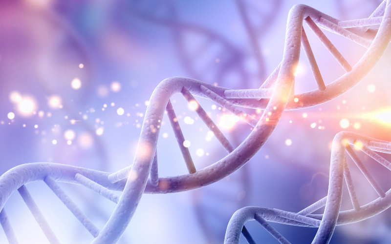 DNA a doppia elica